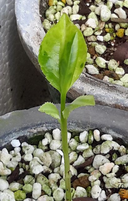 20190324_125009_����.jpg