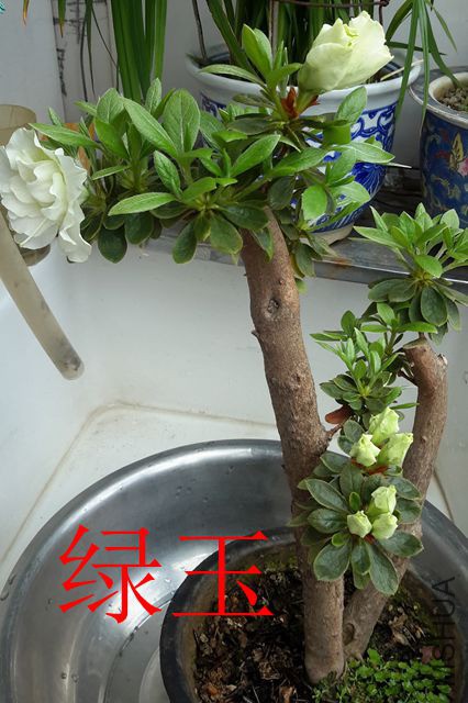 20190322_131600_����.jpg