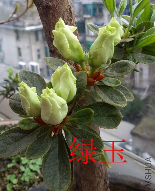 20190322_131500_����.jpg