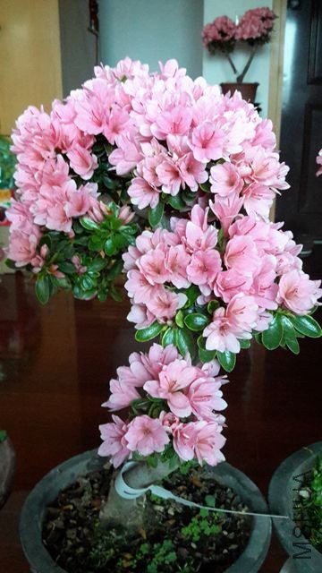 20190325_080054_����.jpg