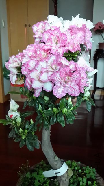 20190325_080114_����.jpg