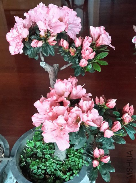 20190325_080128_����.jpg