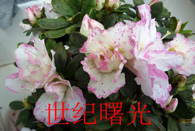 20190322_131632_����.jpg