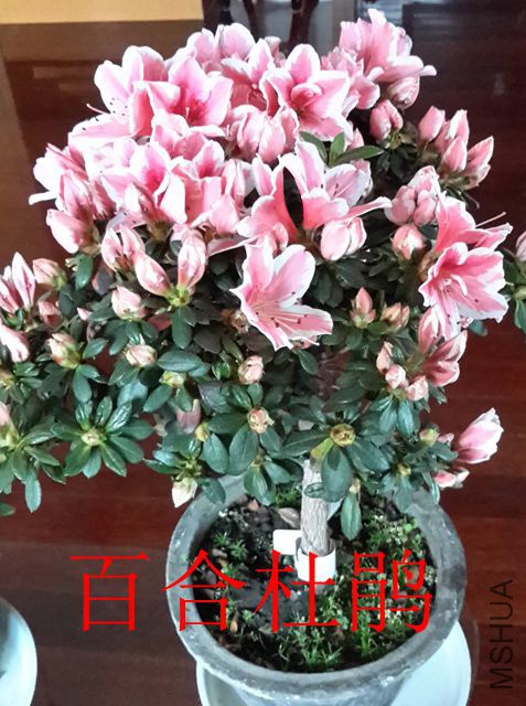 20190325_080138_����.jpg