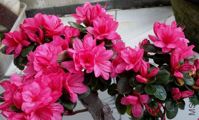 20190325_095056_����.jpg