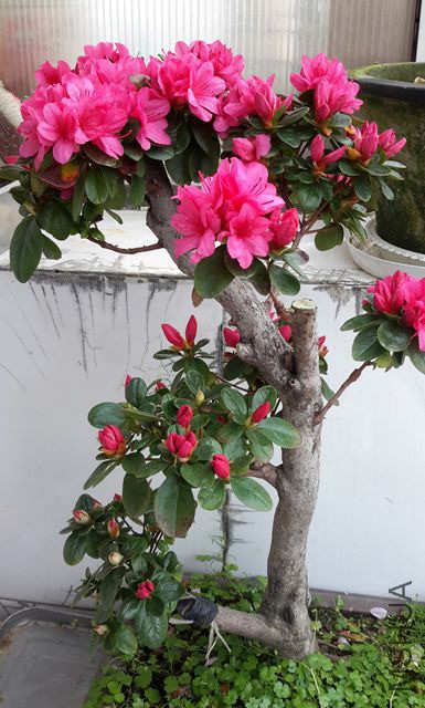 20190325_095051_����.jpg