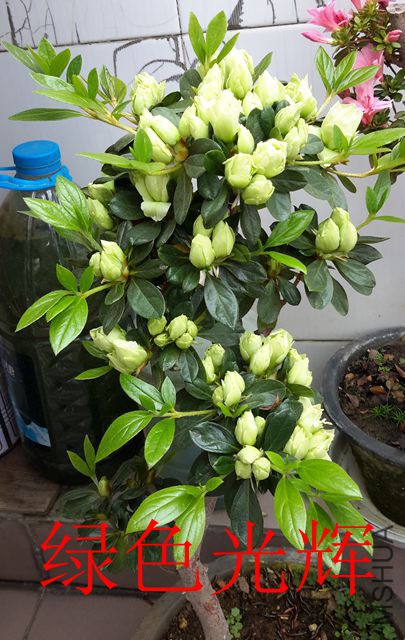 20190325_095102_����.jpg