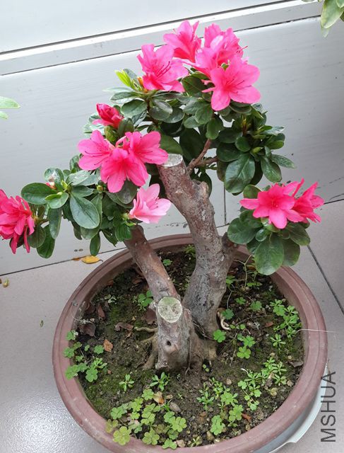 20190325_095137_����.jpg