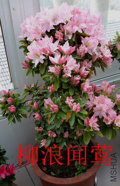 20190325_095159_����.jpg