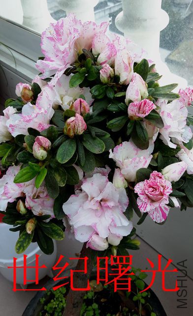 20190325_095117_����.jpg