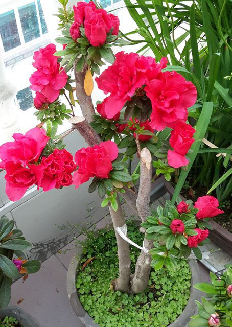 20190325_095212_����.jpg