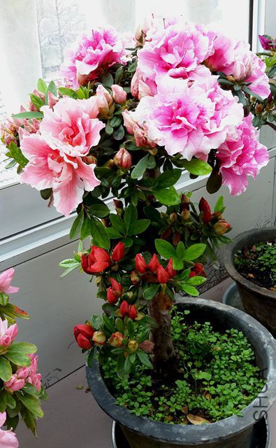 20190325_095204_����.jpg