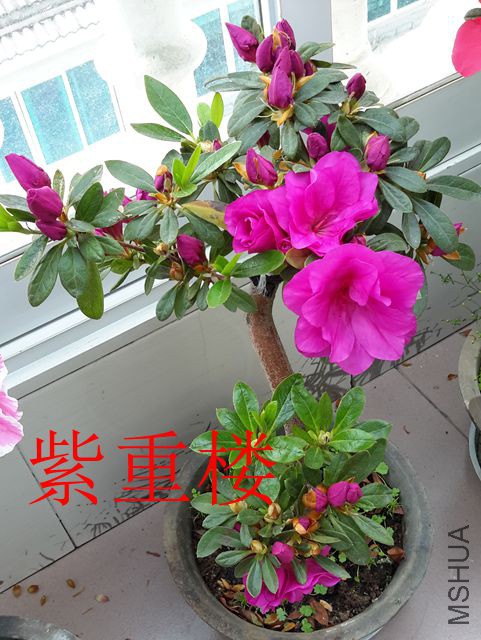 20190325_095209_����.jpg