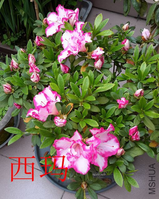 20190325_095216_����.jpg