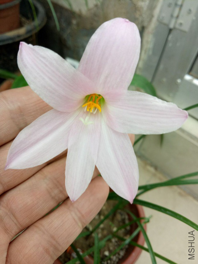 QQͼƬ20180616183923.jpg