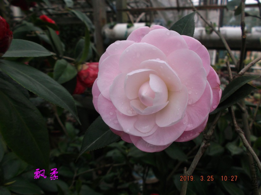 2019325jaa 046 ����w.jpg