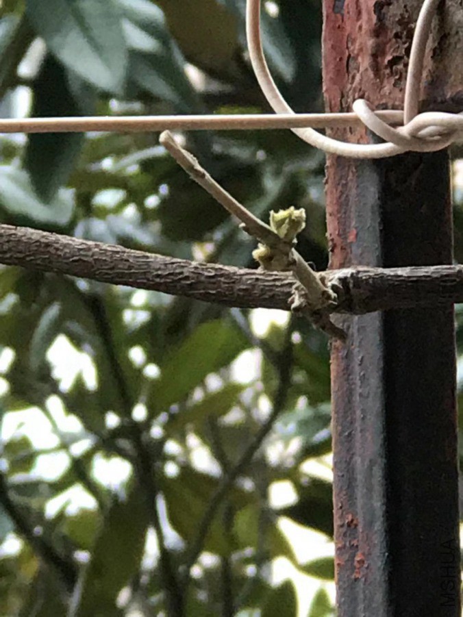 ΢��ͼƬ_20190317003827.jpg