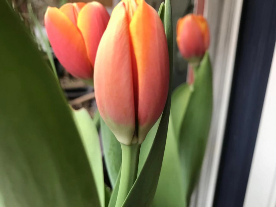 ΢��ͼƬ_201903170038277.jpg