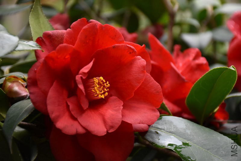 DSC_01440144.JPG
