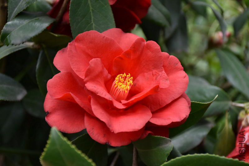 DSC_01260126.JPG