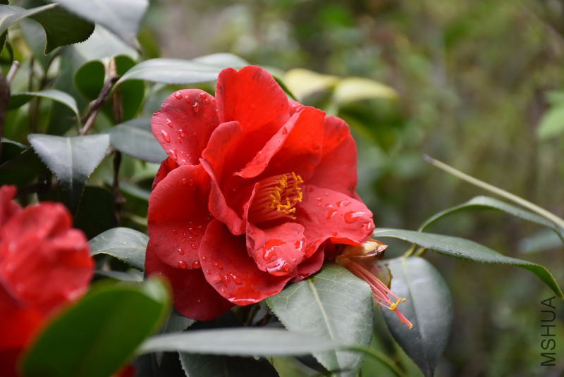 DSC_01400140.JPG