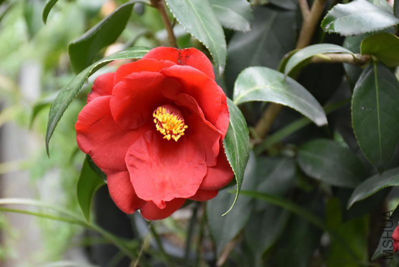 DSC_00950095.JPG