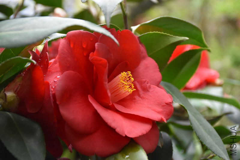 DSC_01230123.JPG