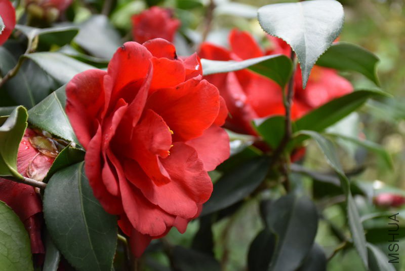 DSC_01170117.JPG