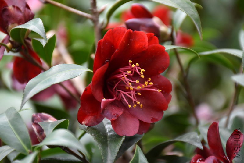 DSC_02270227.JPG