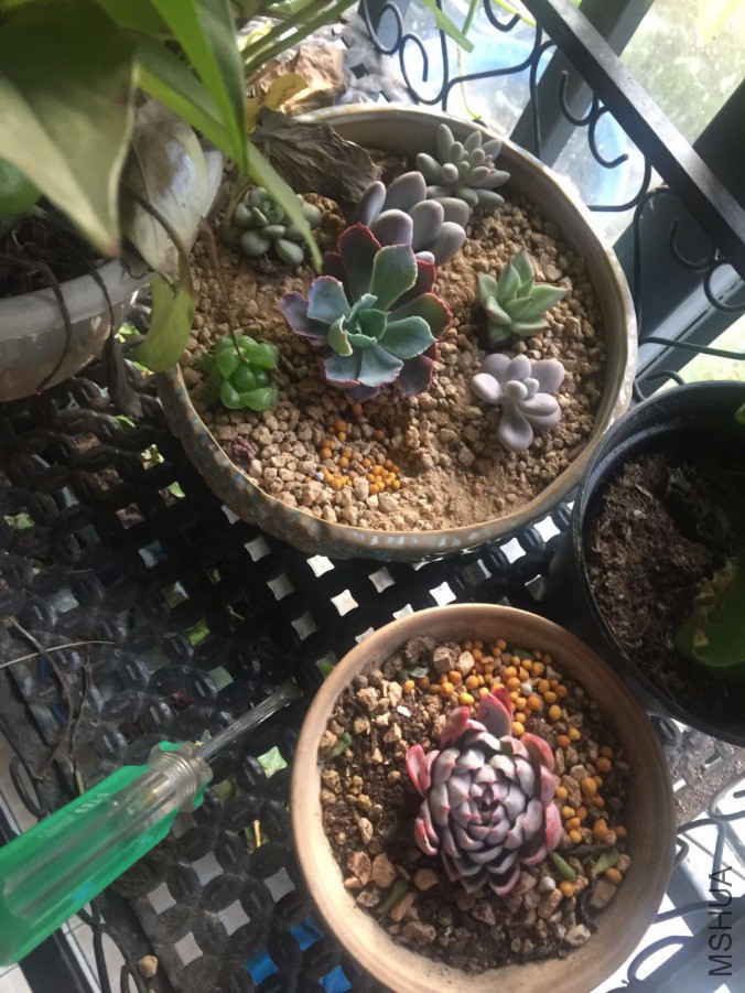 ΢��ͼƬ_20190326091226.jpg
