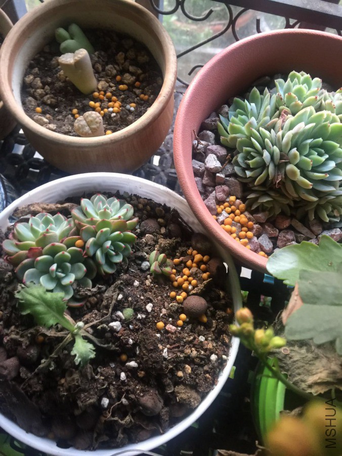 ΢��ͼƬ_20190326091222.jpg