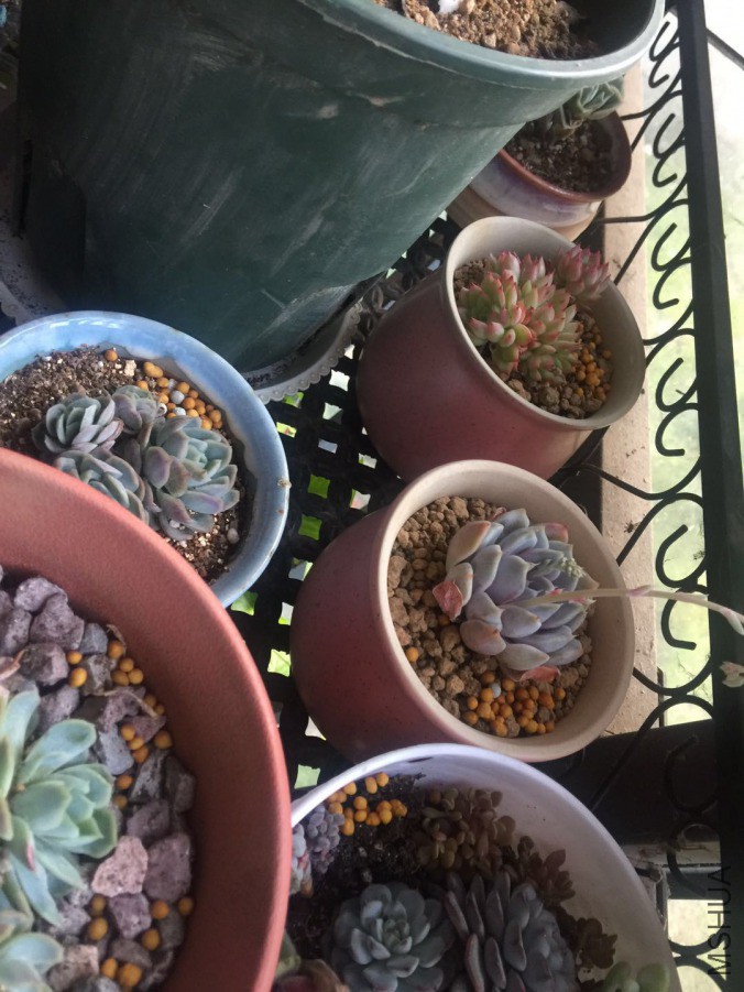 ΢��ͼƬ_20190326091234.jpg