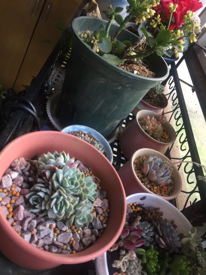 ΢��ͼƬ_20190326091230.jpg