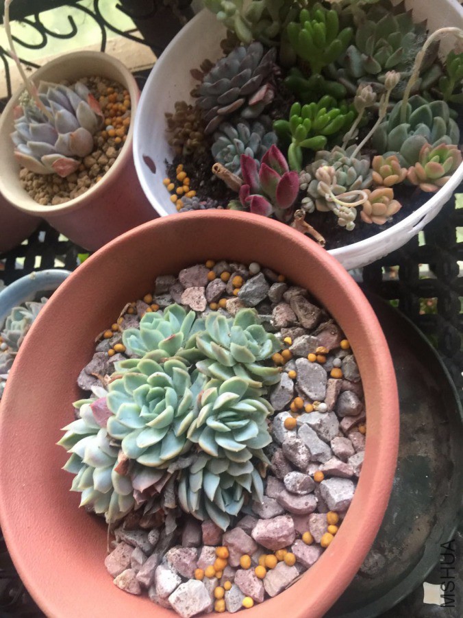 ΢��ͼƬ_20190326091237.jpg
