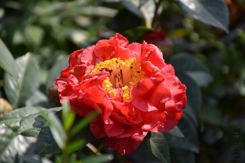 DSC_00330033.JPG