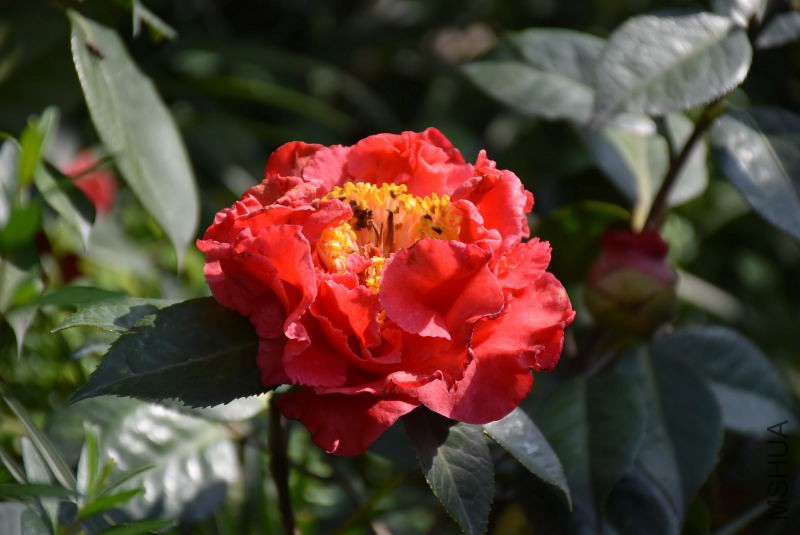 DSC_00490049.JPG