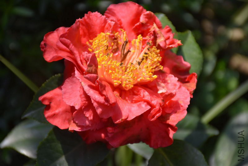 DSC_04290429.JPG