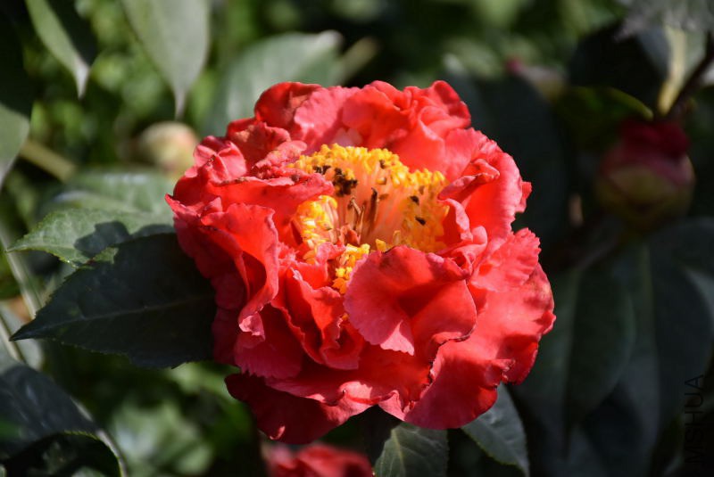 DSC_00380038.JPG