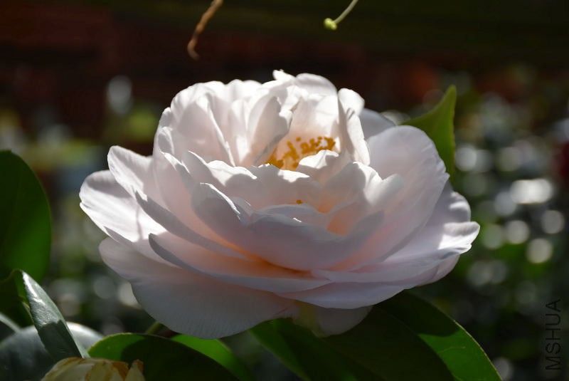 DSC_01280128.JPG