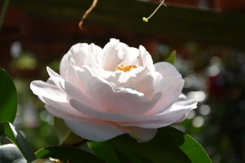 DSC_01290129.JPG