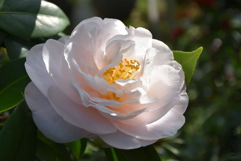 DSC_01410141.JPG