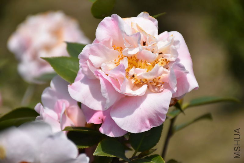 DSC_03640364.JPG
