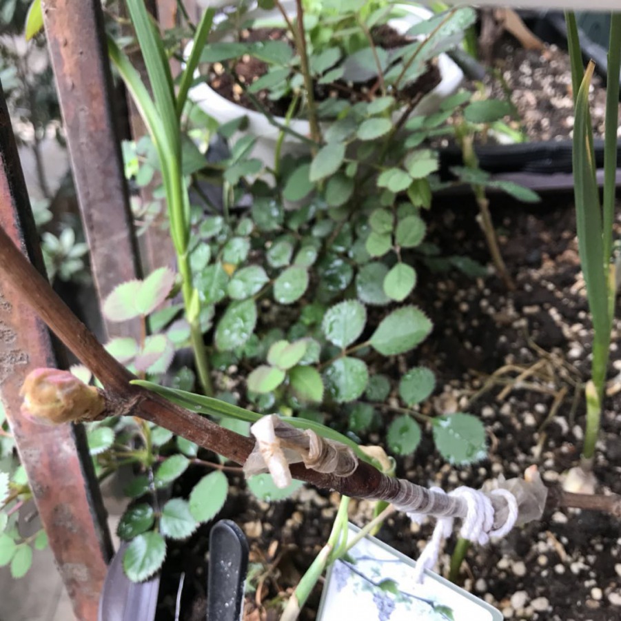 ΢��ͼƬ_201903242350394.jpg