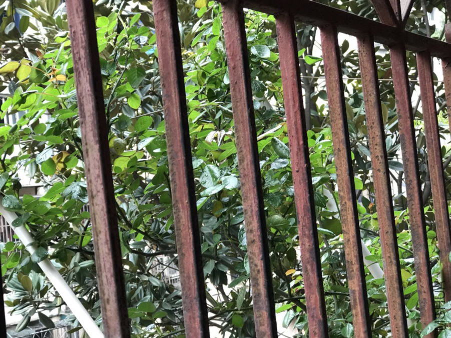 ΢��ͼƬ_201903242350393.jpg