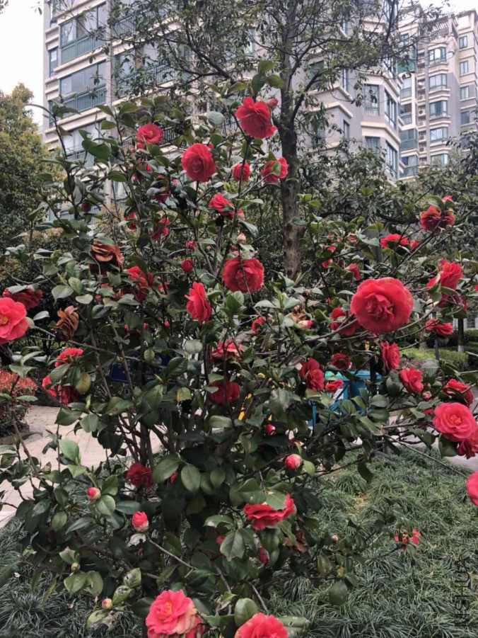 ΢��ͼƬ_20190327144958.jpg