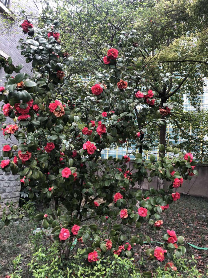 ΢��ͼƬ_20190327145002.jpg