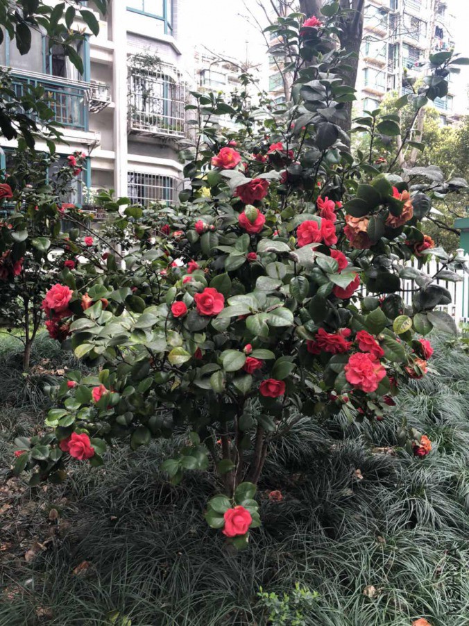 ΢��ͼƬ_20190327145022.jpg