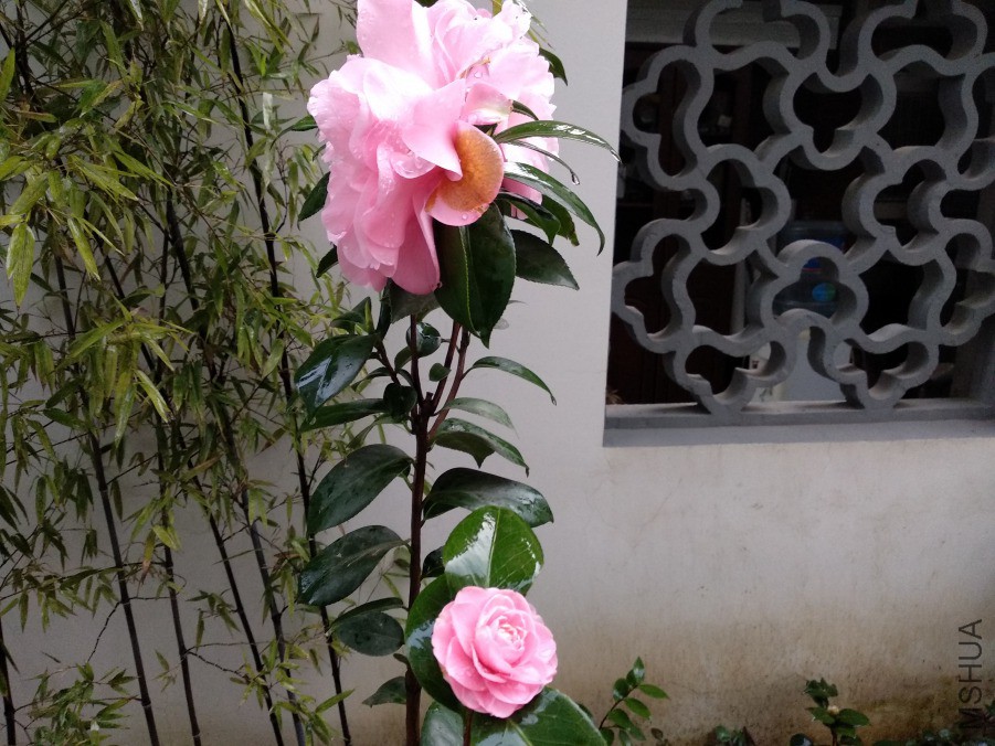 IMG_20190327_174542.jpg
