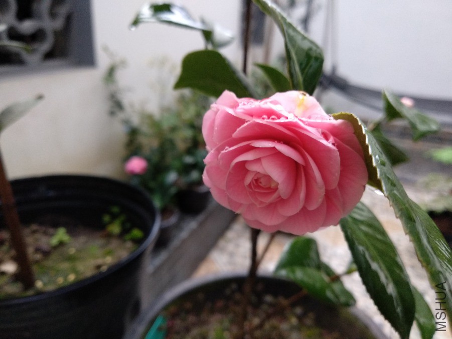 IMG_20190327_174558.jpg