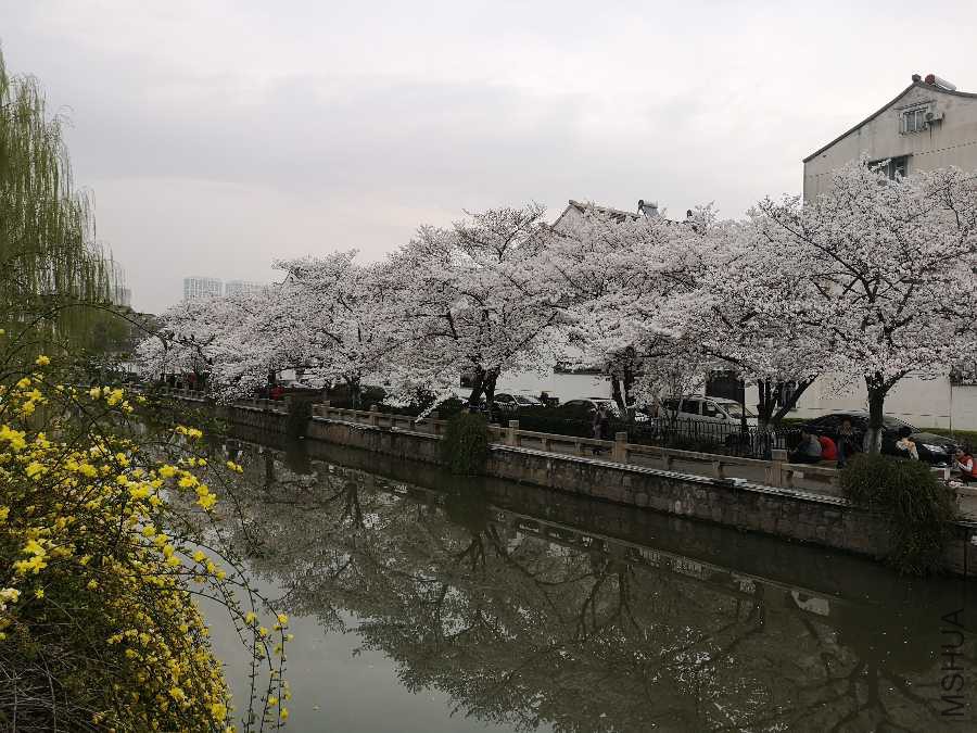IMG_20190327_164404.jpg
